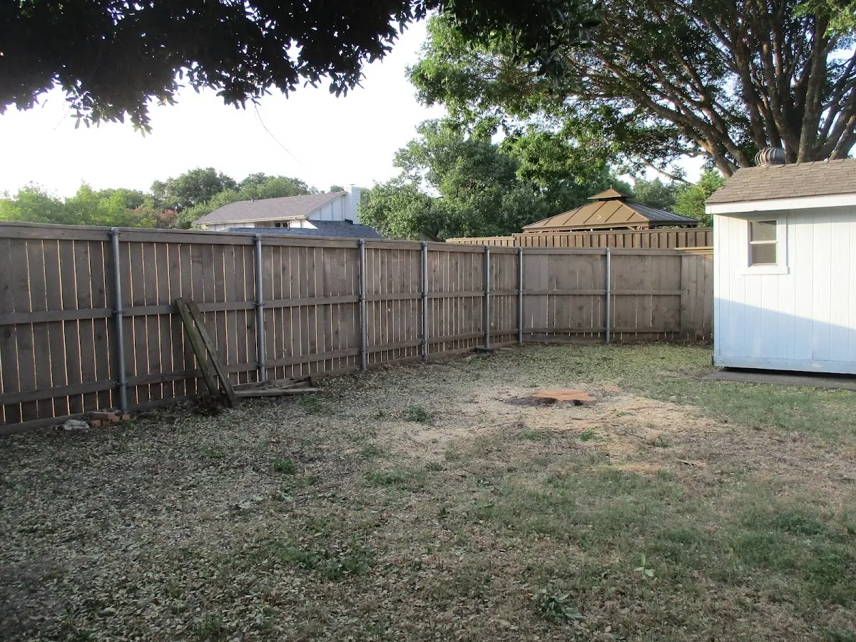 Cleared yard after professional tree removal in Moose Lake