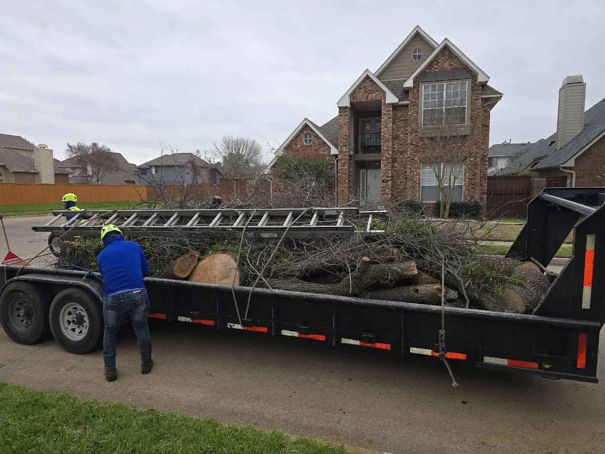 Expert Tree Pest Control with proper safety equipment in Moose Lake